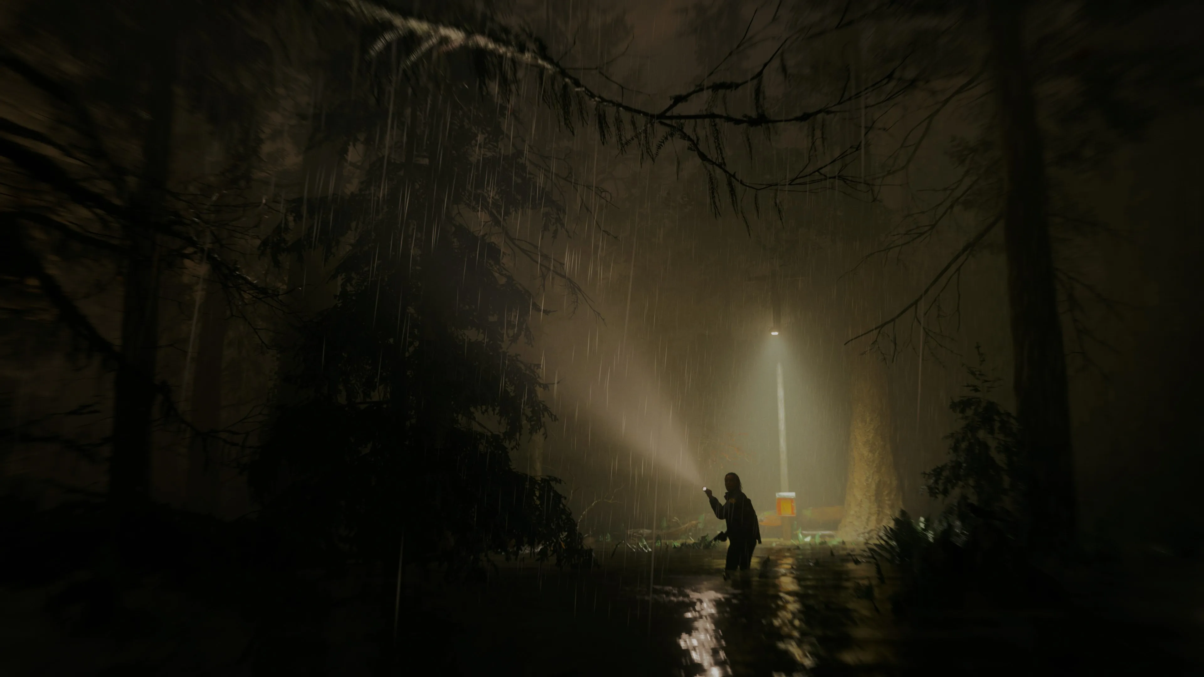 Alan Wake 2 Xbox Key additional image