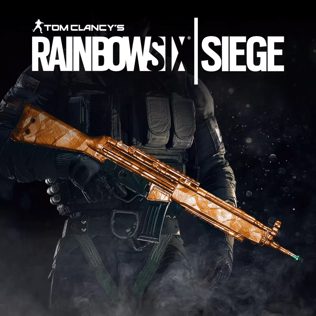 Buy Credits & Bundles for  Rainbow Six Siege  PC additional parameter